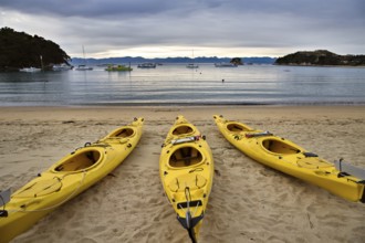 Golden Sand Beach New Zealand Abel Tasman National Park kayak