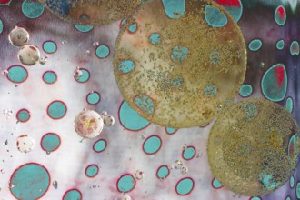 Air and oil bubbles inside water base form patterns