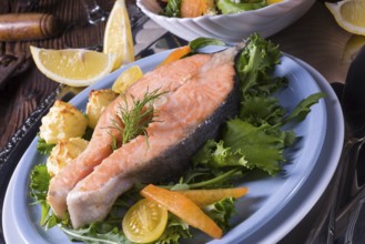 Salmon with butter fried potato puree and salad