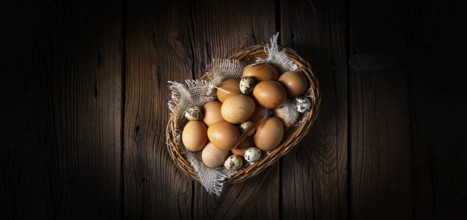 Fresh eggs straight from the farm in a basket