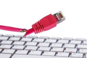 Defective network cable on keyboard, symbol photo for online, networks, malfunction and espionage