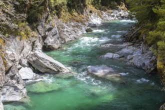 An image of the Haast River Landsborough Valley New Zealand