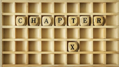 An image of a wooden game with the word chapter ten