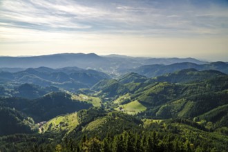 Wunderschöne Schwarzwaldlandschaft im Hochsommer