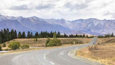 An image of a road to horizon New Zealand south island