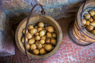 Onions are stored organically in old wooden tubs Austria
