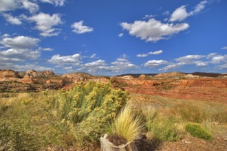 Red desert in state of Utah in the USA