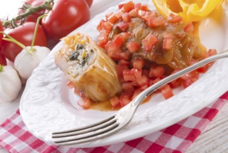 Vegetarian cabbage rolls with spinach and salsa