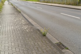 Empty motorway in small german town