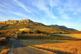 Bright flaming colors of the sunset. The magnificent Bodegas Ysios. Journey to the warm Spanish