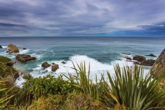 Foamy ocean surf before the storm. South Island, New Zealand. The picturesque coast of the Pacific
