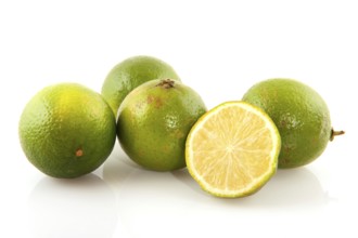 Several limes with one cut isolated over white