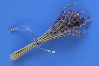 Bouquet of lavender flowers on the blue wooden table - Flat Lay Photography