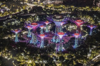 Marina Bay Sands night view from the observatory Singapore. Shooting Location: Singapore