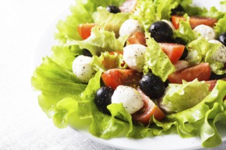 Fresh salad with mozarella cheese and vegetables