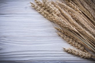 Bunch of golden wheat rye ears on wooden board food and drink concept