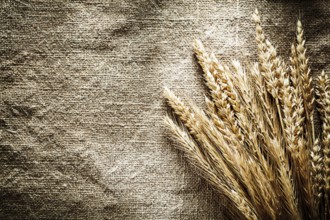 Rye ears on sacking background