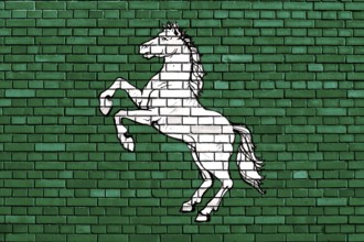 Flag of Tomsk painted on brick wall