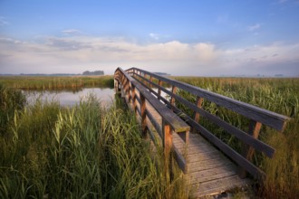 Wooden bridge for bicycles over river in morning sunlight