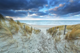 Path on sand to beach at sunset, North Holland, Netherlands