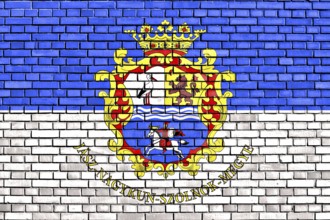 Flag of Jasz-Nagykun-Szolnok County painted on brick wall