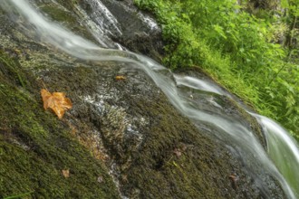 Waterfall of fresh water in the mountain in autumn. Alsace, France