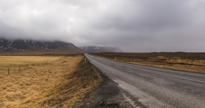 Rural Ring empty highway in Iceland with mountains covered with mist and fields in yellow color