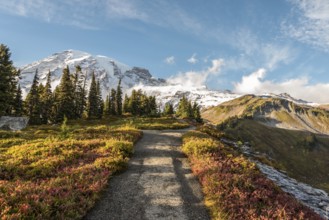 View on the magnificent Mount Rainier from Paradise Vista trail, USA