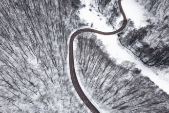 Winter forest and Road. Top view