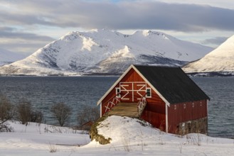 Morning at Tromsdalenfjord, Troms, Norway