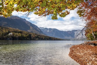 Autumn at the coast of Lake Bohinj in the Triglav National Park, The Julian Alps, Slovenia