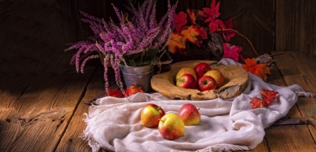 Malus sylvestris, der leckere europäische Krabbenapfel