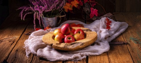 Malus sylvestris, der leckere europäische Krabbenapfel