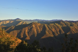 Picturesque mountains in national park. The bird's flight above pass Tioga in the early morning, on