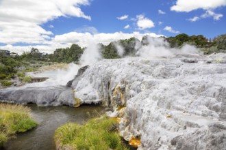 An image of a volcanic activities at waimangu new zealand