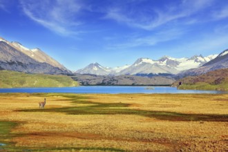 A blue lake in a picturesque valley surrounded by snow-capped mountains. National Park Perito
