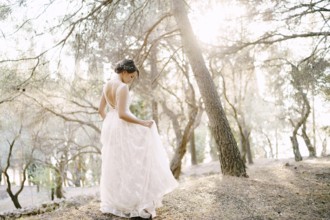 The bride walks among the beautiful trees in the olive grove, back view .