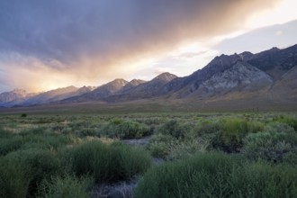 Mountain range with clouded colorful sunset, Eastern Sierra Nevada Mountains, Mono County,