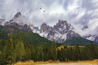 Autumn trip to the Italian Alps. Italy. The famous picturesque pass in the Dolomites - Passo Rolle.