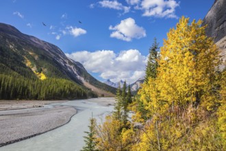 The Rocky Mountains. The picturesque valley in Jasper National Park. Autumn reduction of water in