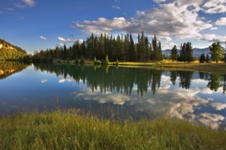 Fine lake in mountains of Canada and a fur-tree on coast
