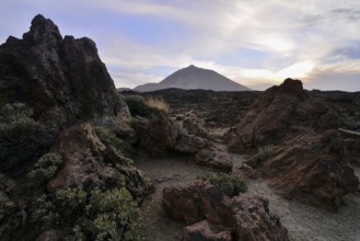Volcano Teide National Park Tenerife Canary Islands