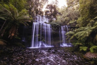 The majestic Russell Falls in Mt Field National Park on a cold spring afternoon in Tasmania,