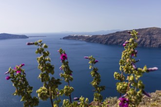 The village of Oia on the Caldera, Santorini Island, Greece