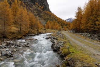 Wild Susasca, torrent below the Flüela Pass, Val Susaca, S-chanf, Engadin, Graubünden, Switzerland
