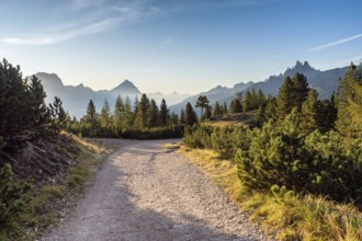 Wide trail in the Dolomites. Hiking trip, Walking path in dolomites landscape. The Tofane Group in