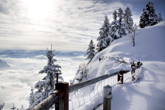 Pendling point on the Schneeberg mountain in Alps near Thiersee at Kufstein in Austria