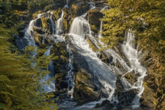 A view of the Swallow Falls waterfall in Anglesey in northern Wales surrounded by lush green summer