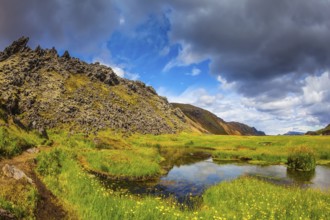 The picturesque valley in Landmannalaugar national park. Green grass among the thermal springs.