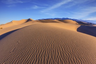 Bright sunny morning in a picturesque part of Death Valley. Thin waves on the sand. Mesquite Flat